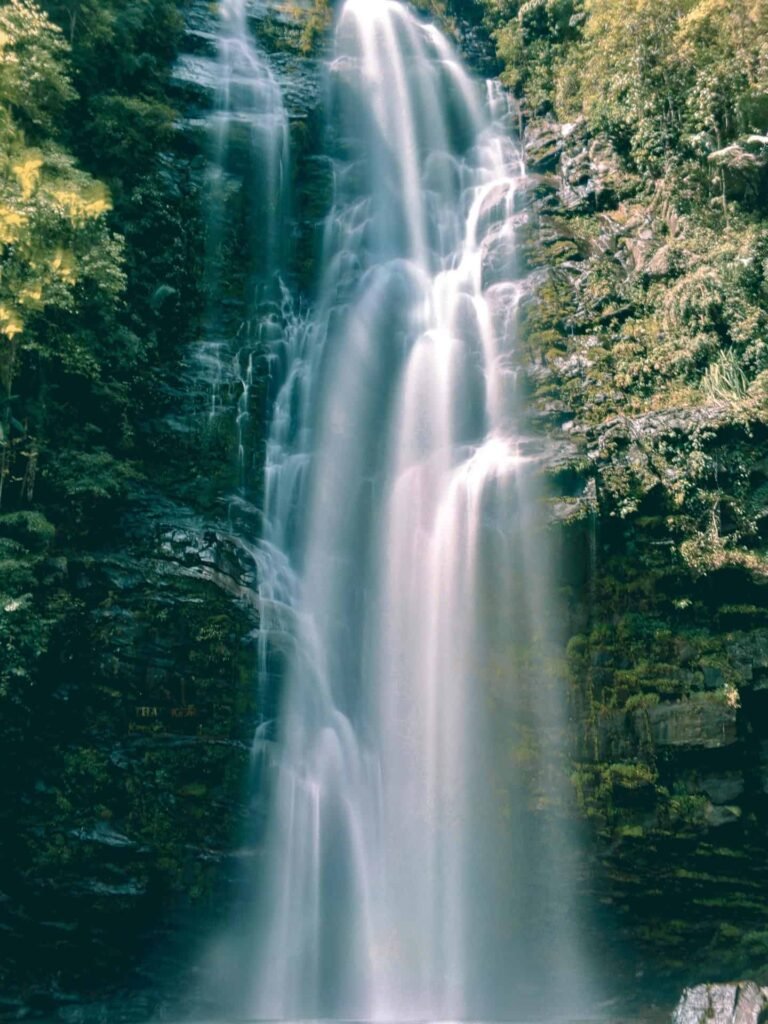 Drinking Water in Nature in Czechia